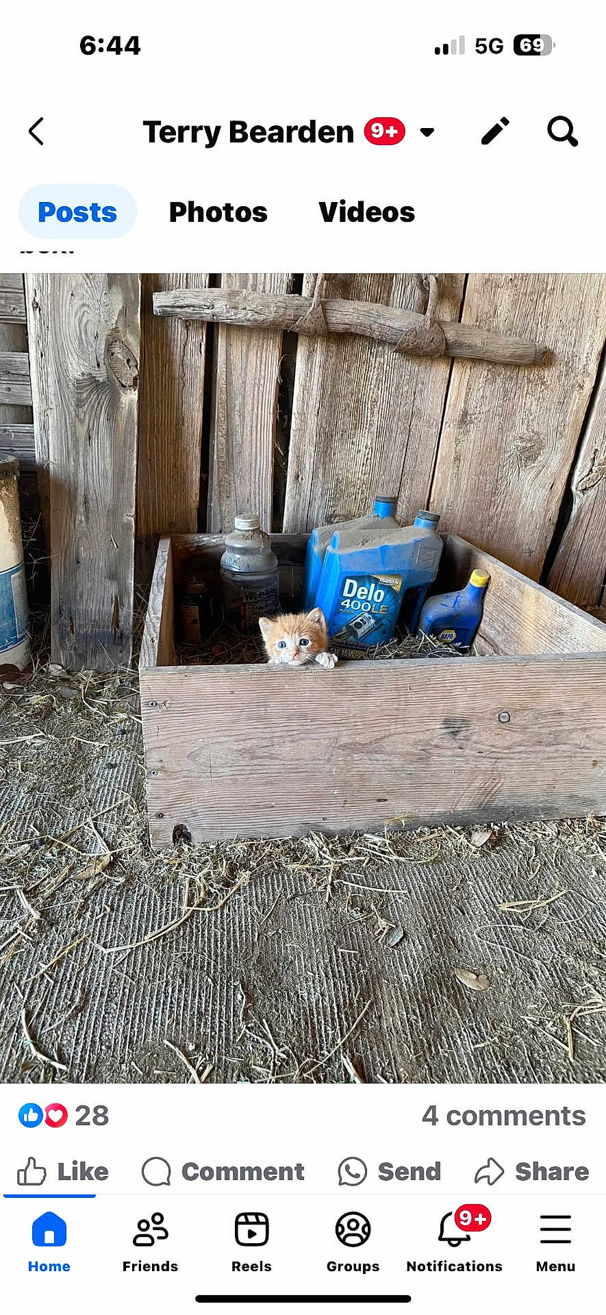Pumpkin