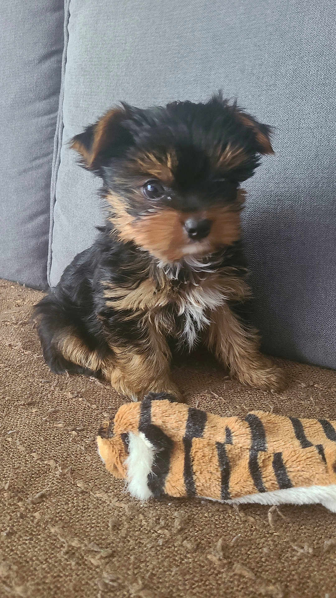 Milo