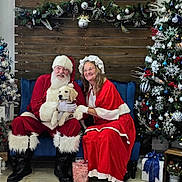 Moose joined the competition — help win amazing prizes! santa_claus, mrs_claus, dog, puppy, christmas_tree, christmas_decorations, holiday, festive, red_clothing, white_beard, glasses, blue_couch, gift_box, indoors, smiling, seasonal, pine_cones, ornaments, reindeer_figurine, winter