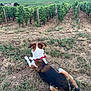 dog, vineyard, grass, outdoor, nature, plant, field, collar, canine, tricolor, rural, greenery, summer, agriculture, row, earth, leaves, animal, resting, scenery