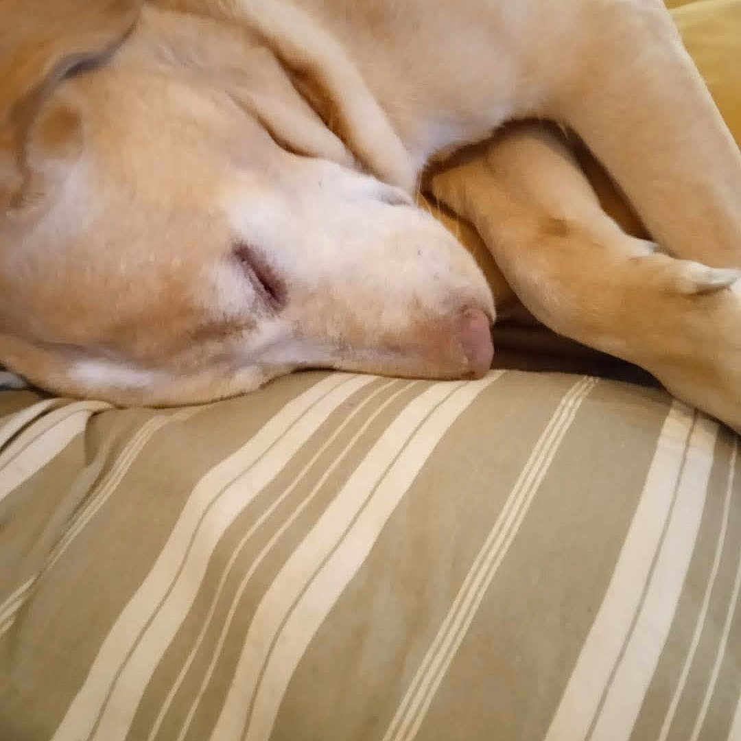 Mia