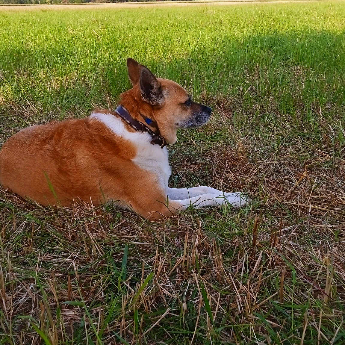 Sam