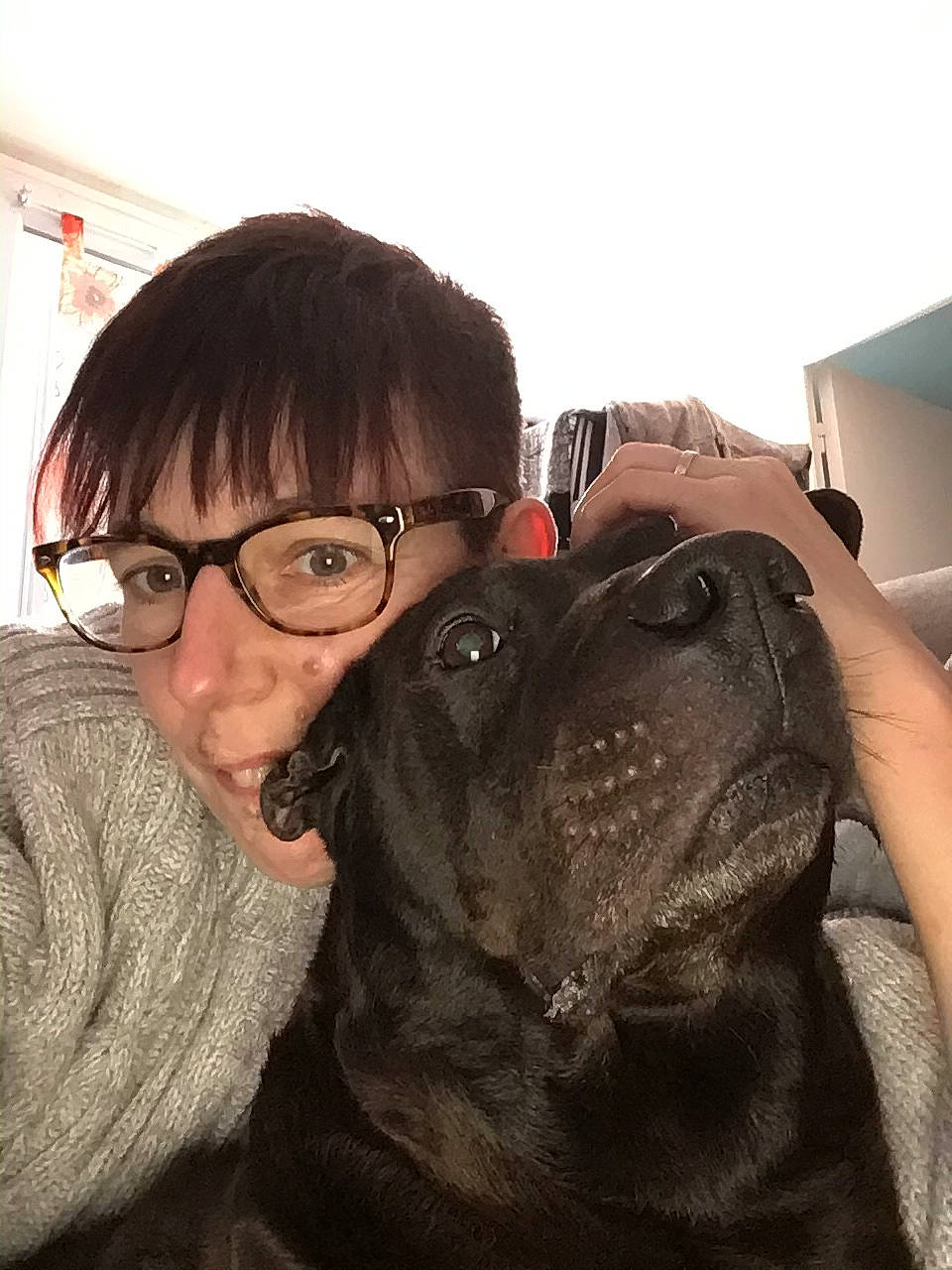 Heaven a rejoint le concours — aidez-le/la à gagner de superbes lots ! carnivore, companion_dog, dog, dog_breed, ear, eyewear, face, fawn, glasses, happy, mammal, nose, pug, skin, snout, vertebrate, vision_care, whiskers, working_animal, wrinkle