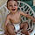 Liam