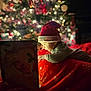 baby, child, santa_hat, christmas_tree, holiday, book, blanket, red, cozy, indoors, festive, lights, decorations, warm, face, portrait, holiday_season, cute, curious, celebration
