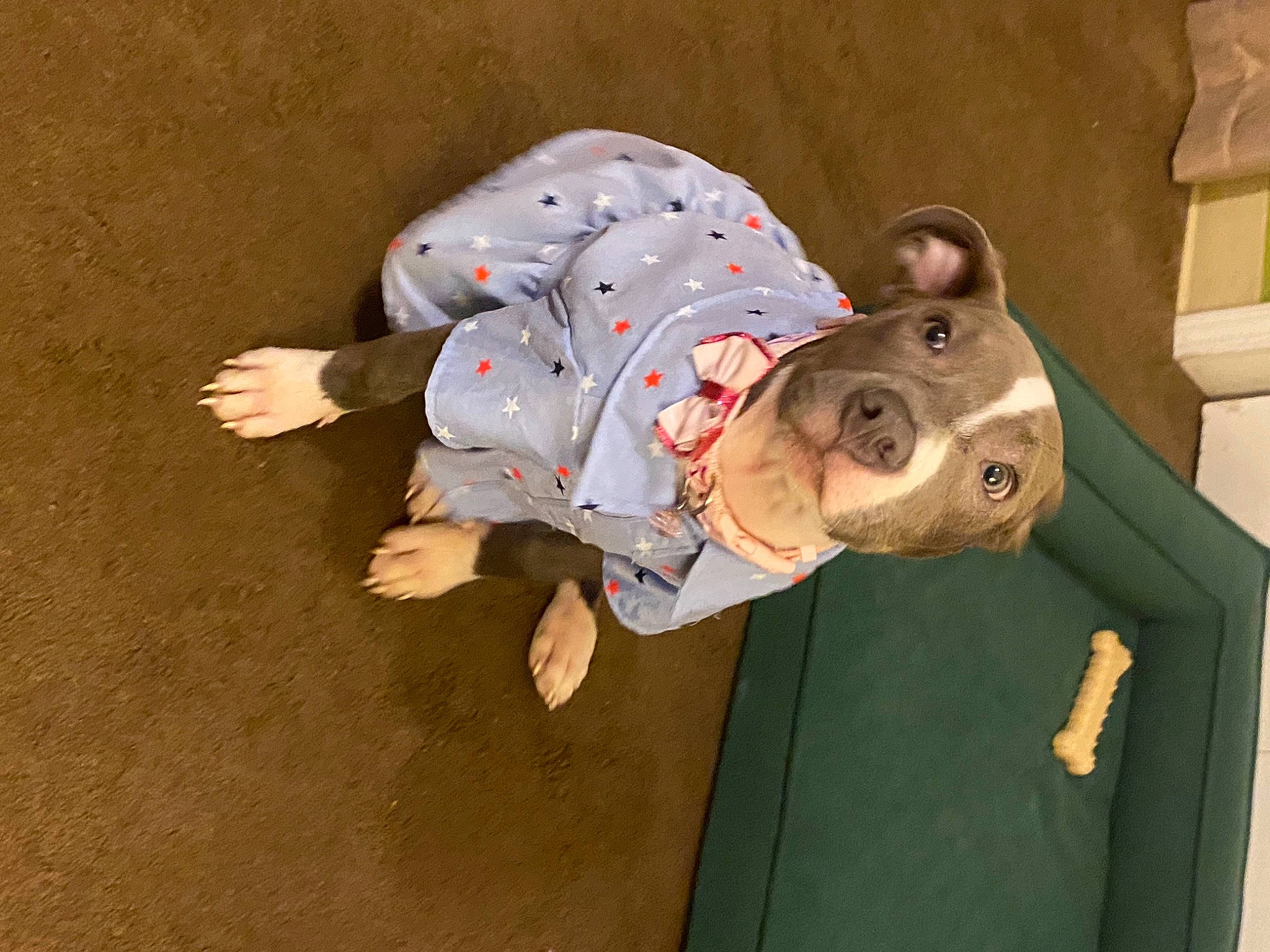 Remiann Johnson is registered to the contest to win money with this photo: adventure, baby, baby_toddler_clothing, child, fun, happy, hat, play, recreation, soil, sport_climbing, toddler, wood