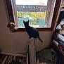 black_cat, cat, clothes, clutter, curiosity, curious, daylight, domestic, furniture, home, indoor, looking_out, pet, plastic_bag, quiet, rolled_up_item, shelf, still_life, storage, window