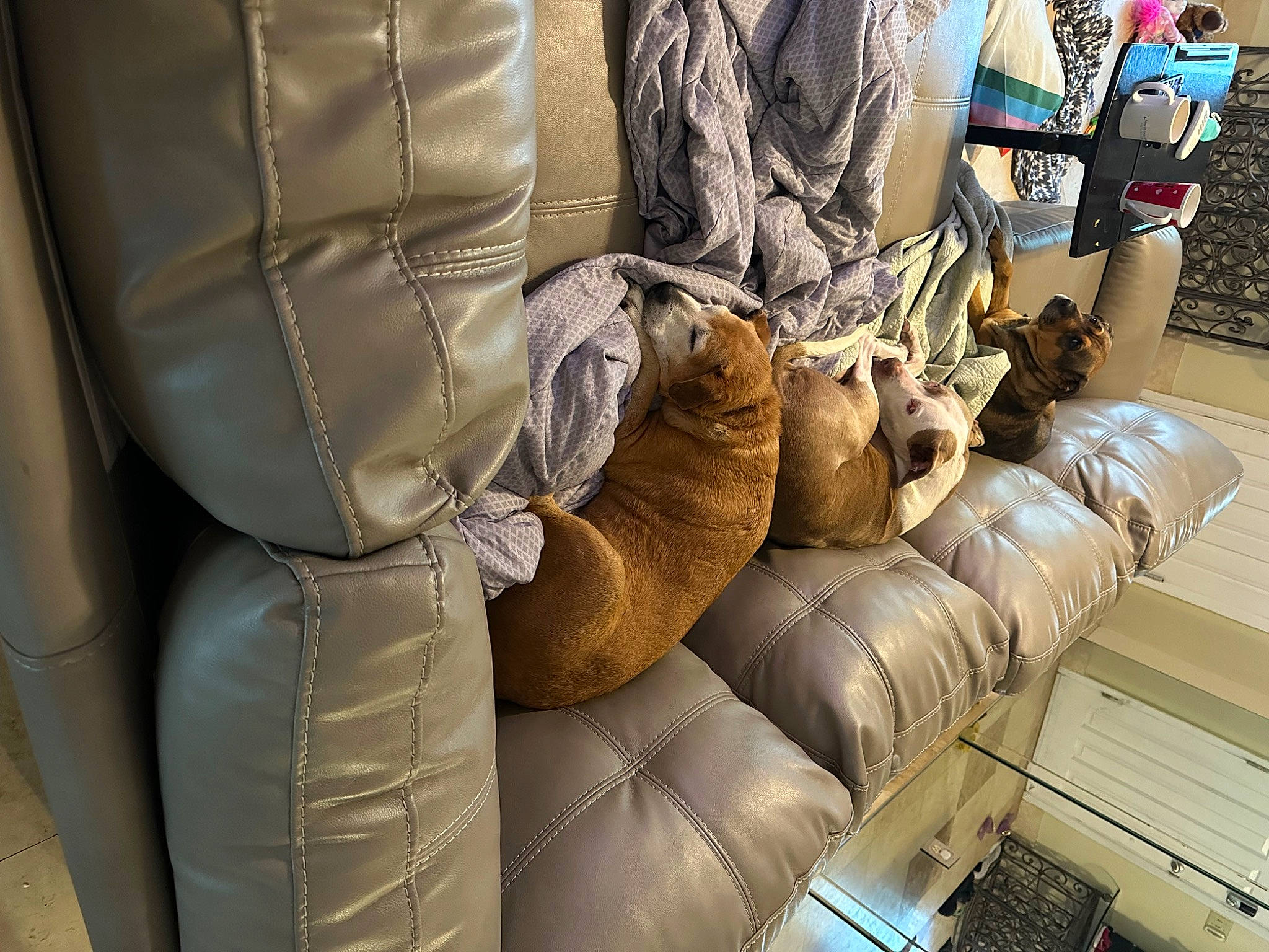 Panzie is registered to the contest to win money with this photo: auto_part, car_seat, comfort, fashion_accessory, fur, hat, head_restraint, human_leg, leather, luxury_vehicle, machine, metal, personal_protective_equipment, room, sleeve, textile, transport, uniform