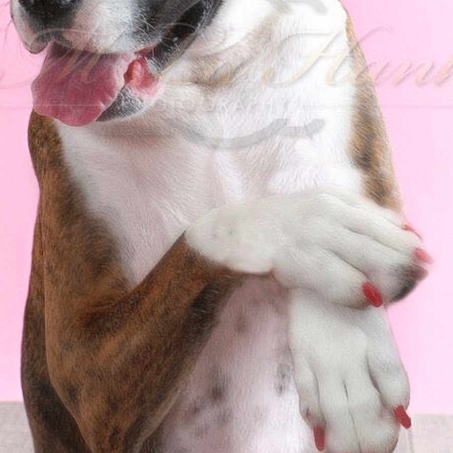 Dakota