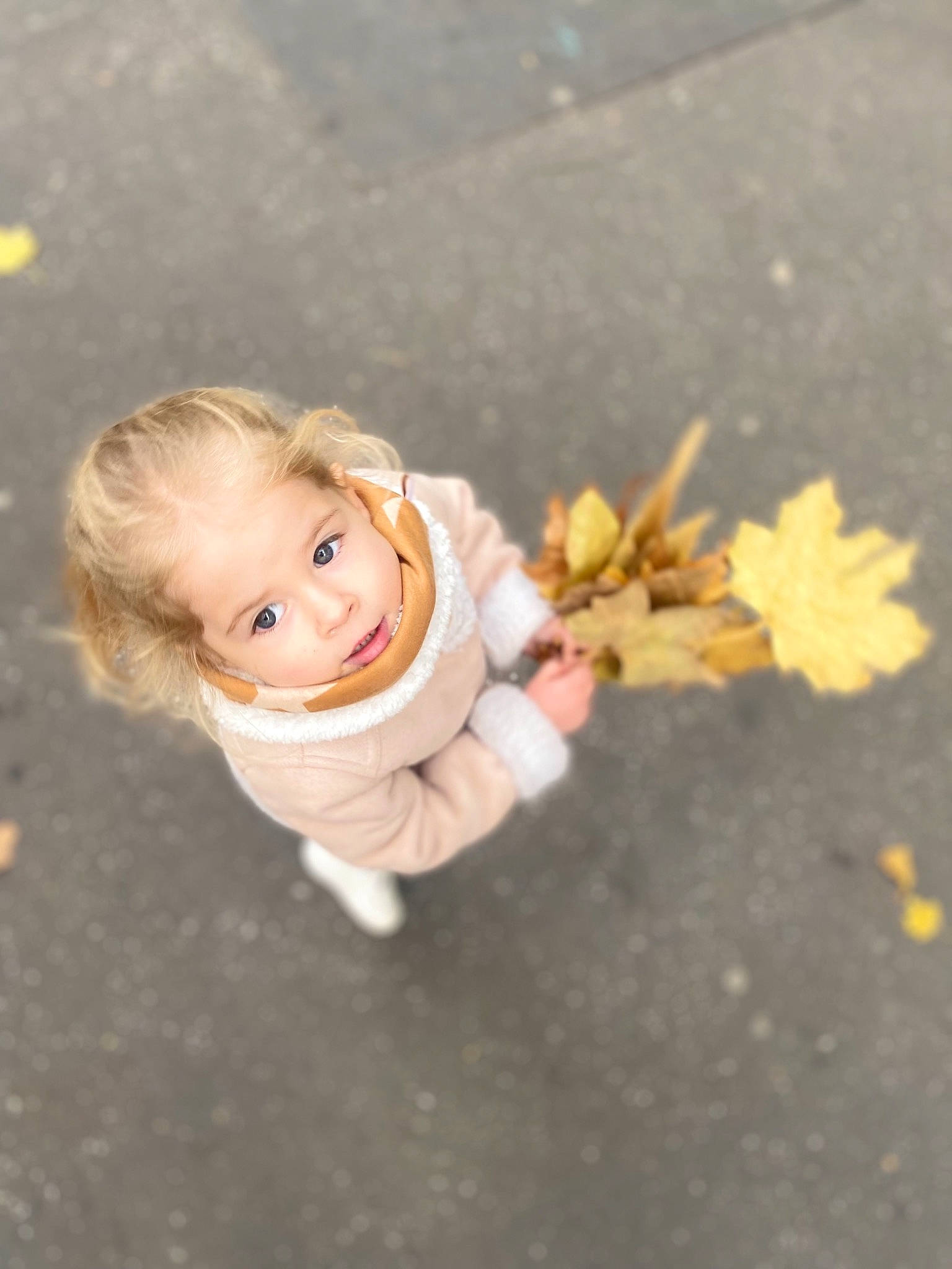 Lea a rejoint le concours — aidez-le/la à gagner de superbes lots ! asphalt, child, eye, facial_expression, flash_photography, floor, flooring, fun, gesture, grass, happy, people_in_nature, person, petal, plant, road_surface, smile, soil, toddler, tree