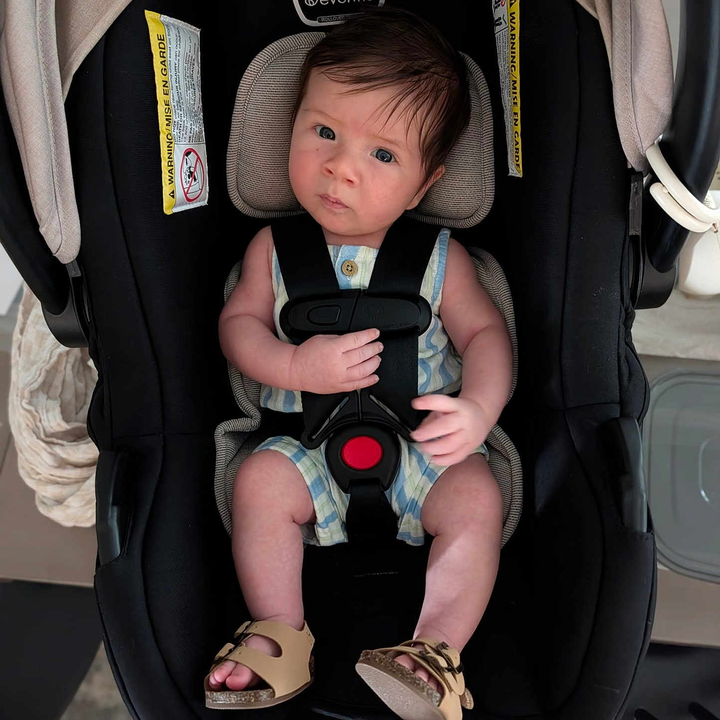 Theo joined the competition — help win amazing prizes! baby, car_seat, child, infant, straps, footwear, person, cute, indoor, looking, expression, clothing, seat, sitting, head, face, hand, legs, shoes, safety
