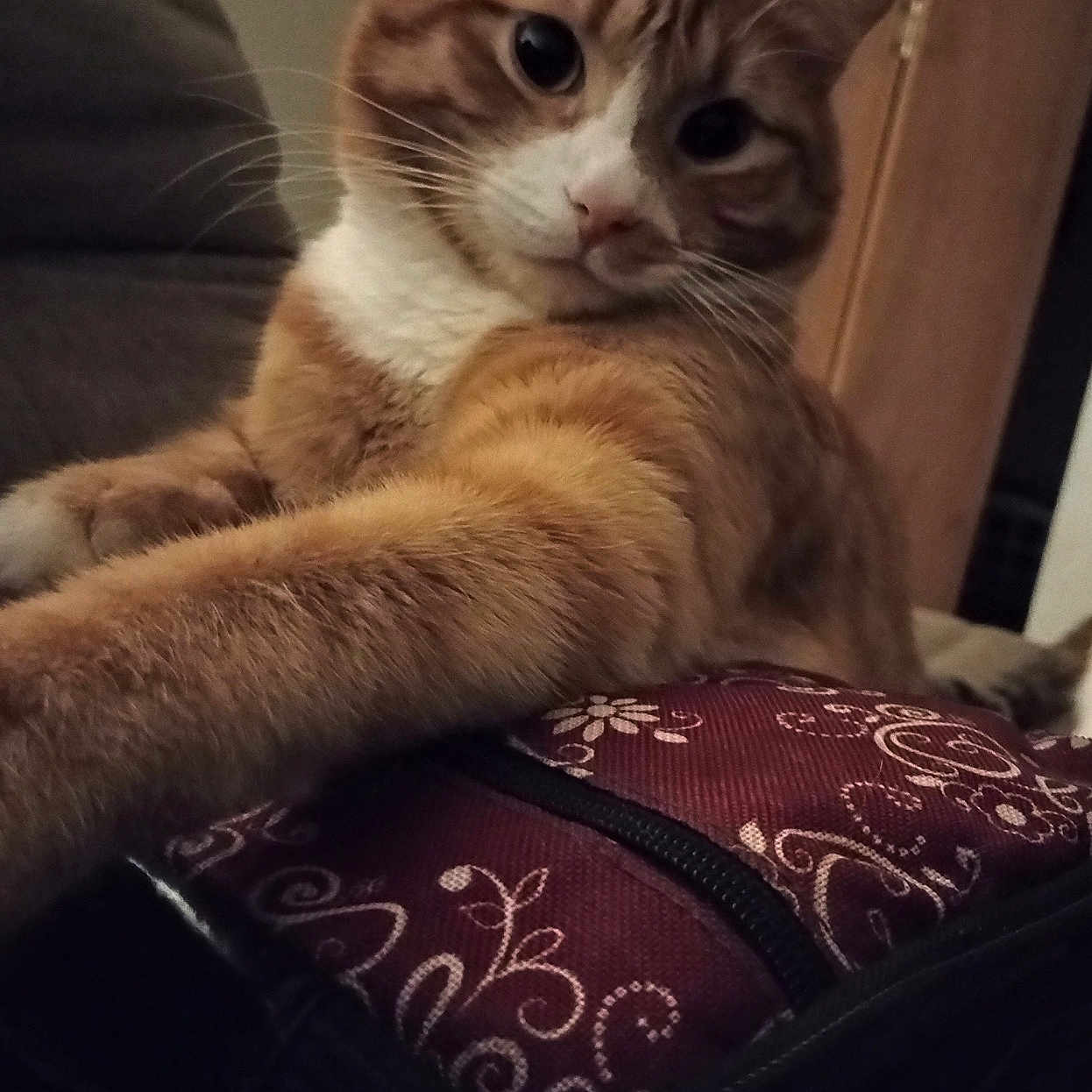 Itchy