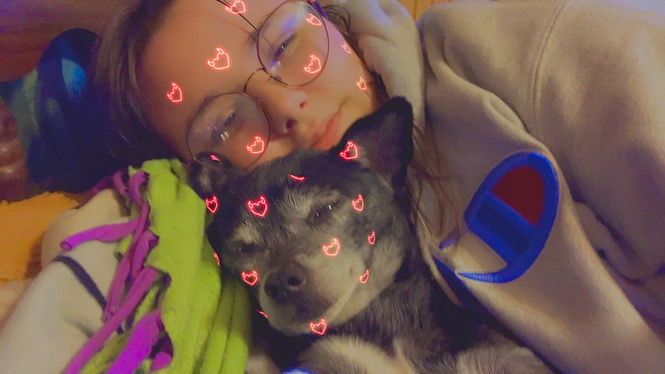 Roscoe is registered to the contest to win money with this photo: chest, child, comfort, couch, eye, eyewear, fictional_character, flooring, fun, fur, mouth, nose, personal_protective_equipment, room, selfie, sunglasses, toy