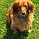 Marley