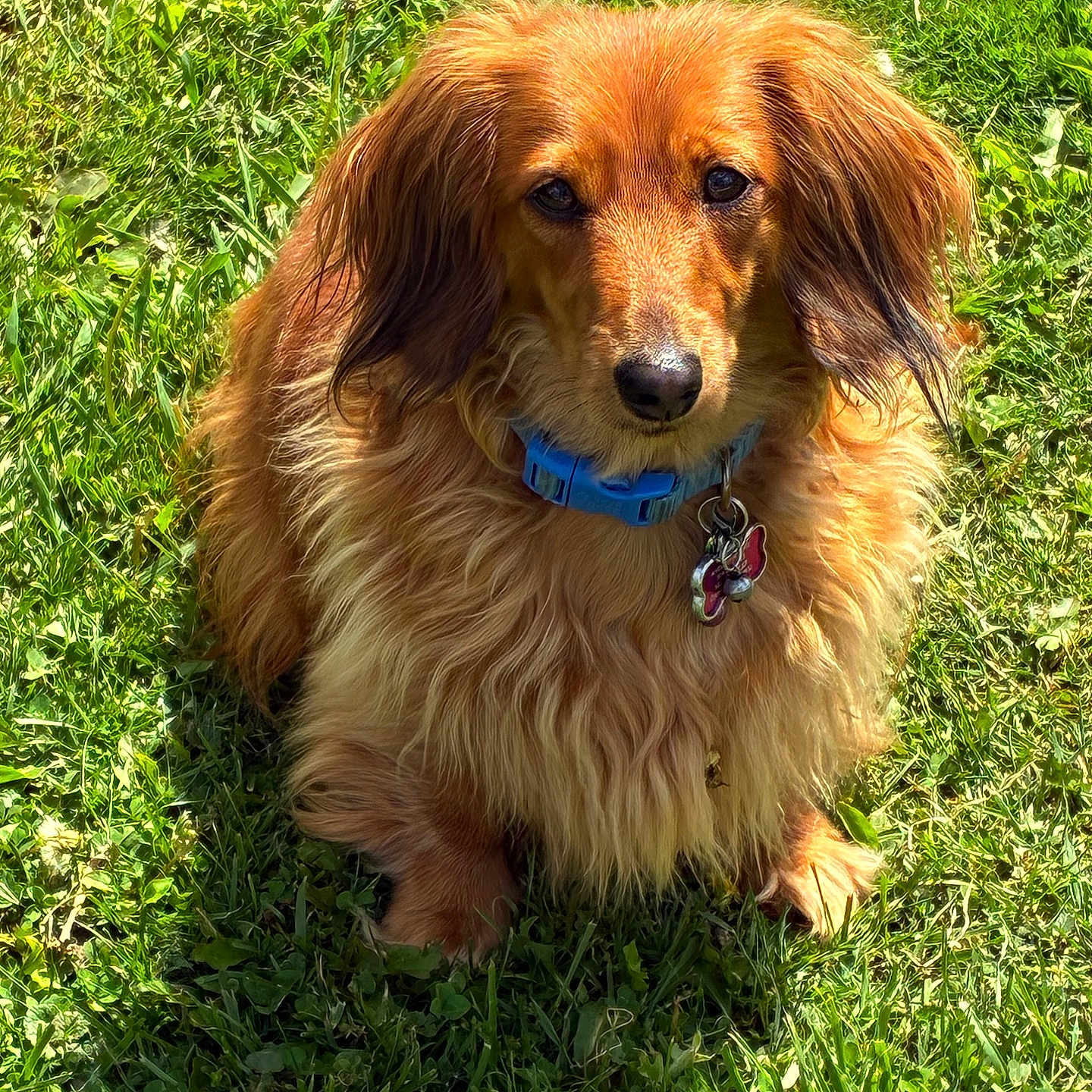 Marley