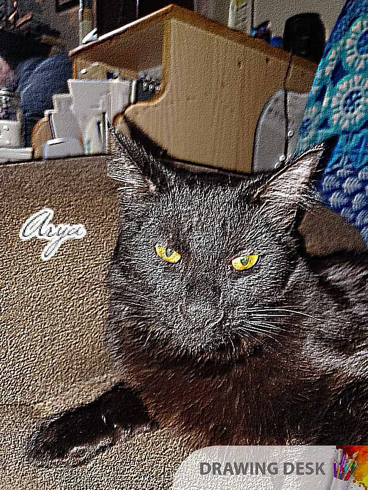 Arya is registered to the contest to win money with this photo: art, black_cat, carnivore, cat, domestic_short_haired_cat, felidae, font, fur, grass, grey, pattern, paw, photo_caption, small_to_medium_sized_cats, snout, tail, whiskers