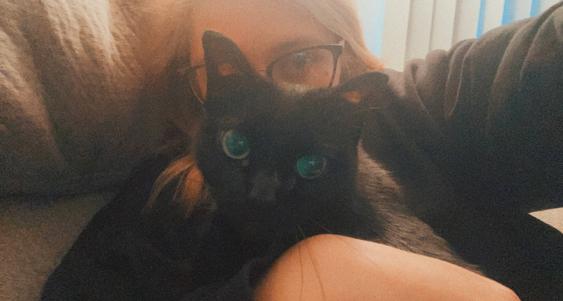 Edith joined the competition — help win amazing prizes! beard, black_cat, carnivore, cat, comfort, domestic_short_haired_cat, ear, eyewear, fawn, felidae, fur, gesture, hand, nose, small_to_medium_sized_cats, snout, tail, tints_and_shades, vision_care, whiskers