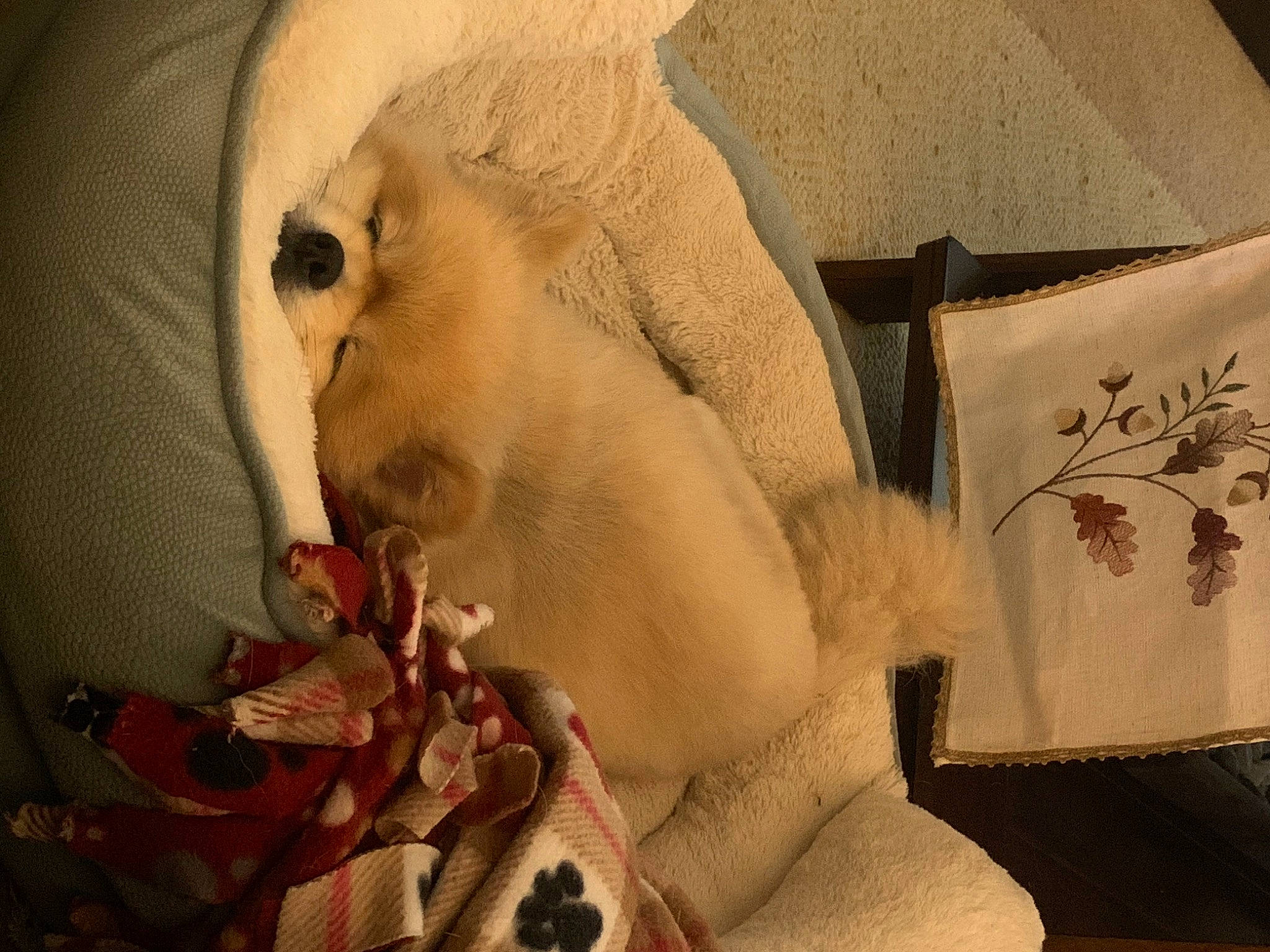 Remi is registered to the contest to win money with this photo: art, beard, chest, eyelash, flesh, fur, illustration, linens, packaging_and_labeling, paper, paper_product, pattern, peach, petal, room, rose, still_life_photography, textile, vintage_clothing, visual_arts