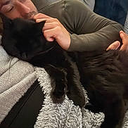 Shana a rejoint le concours — aidez-le/la à gagner de superbes lots ! person, cat, black_cat, petting, blanket, soft_texture, cozy, indoor, relaxation, furniture, couch, hand, long_sleeve, resting, comfort, furry, closeup, warm_lighting, casual, companion