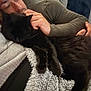 person, cat, black_cat, petting, blanket, soft_texture, cozy, indoor, relaxation, furniture, couch, hand, long_sleeve, resting, comfort, furry, closeup, warm_lighting, casual, companion