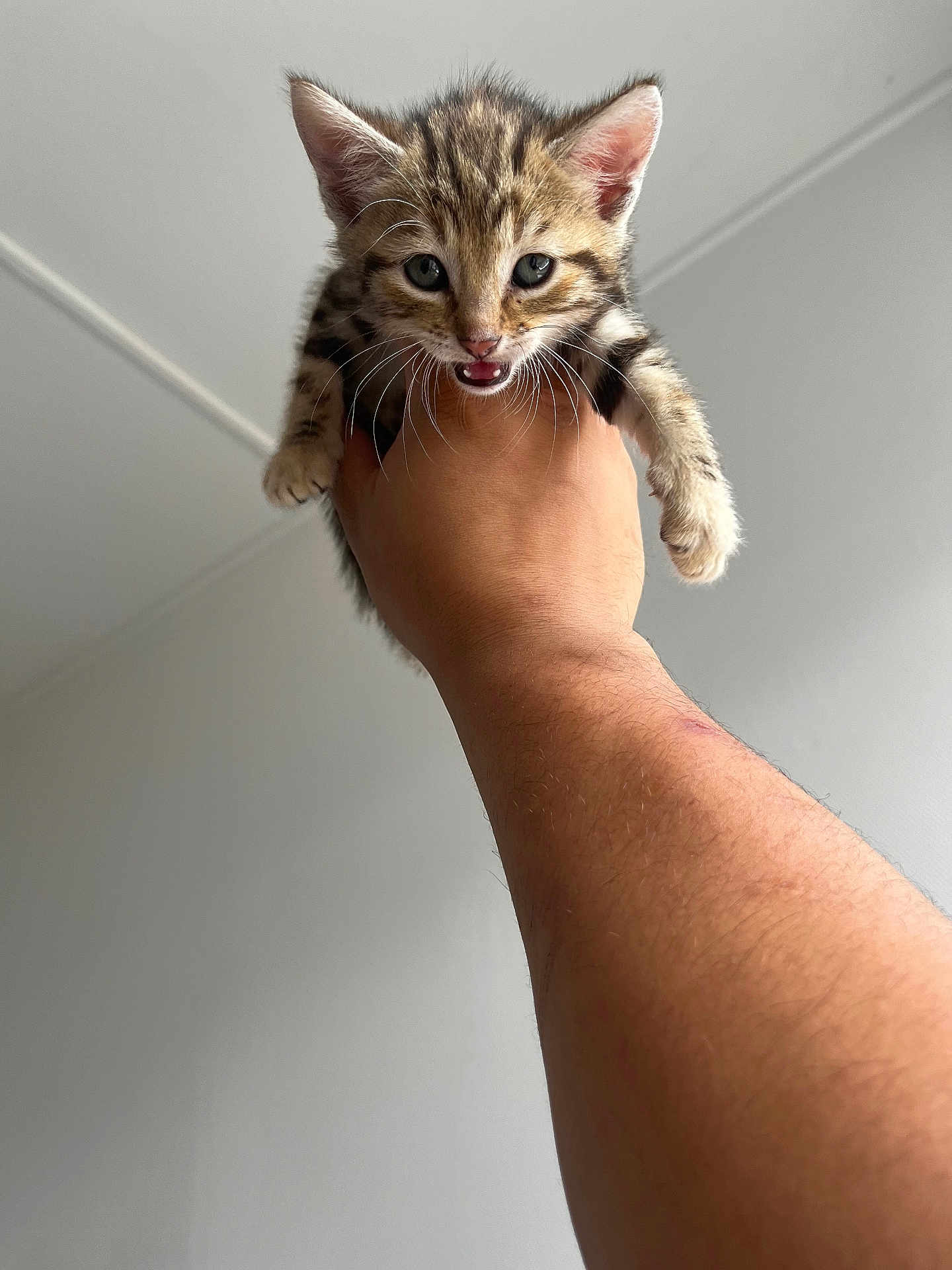Chaussette