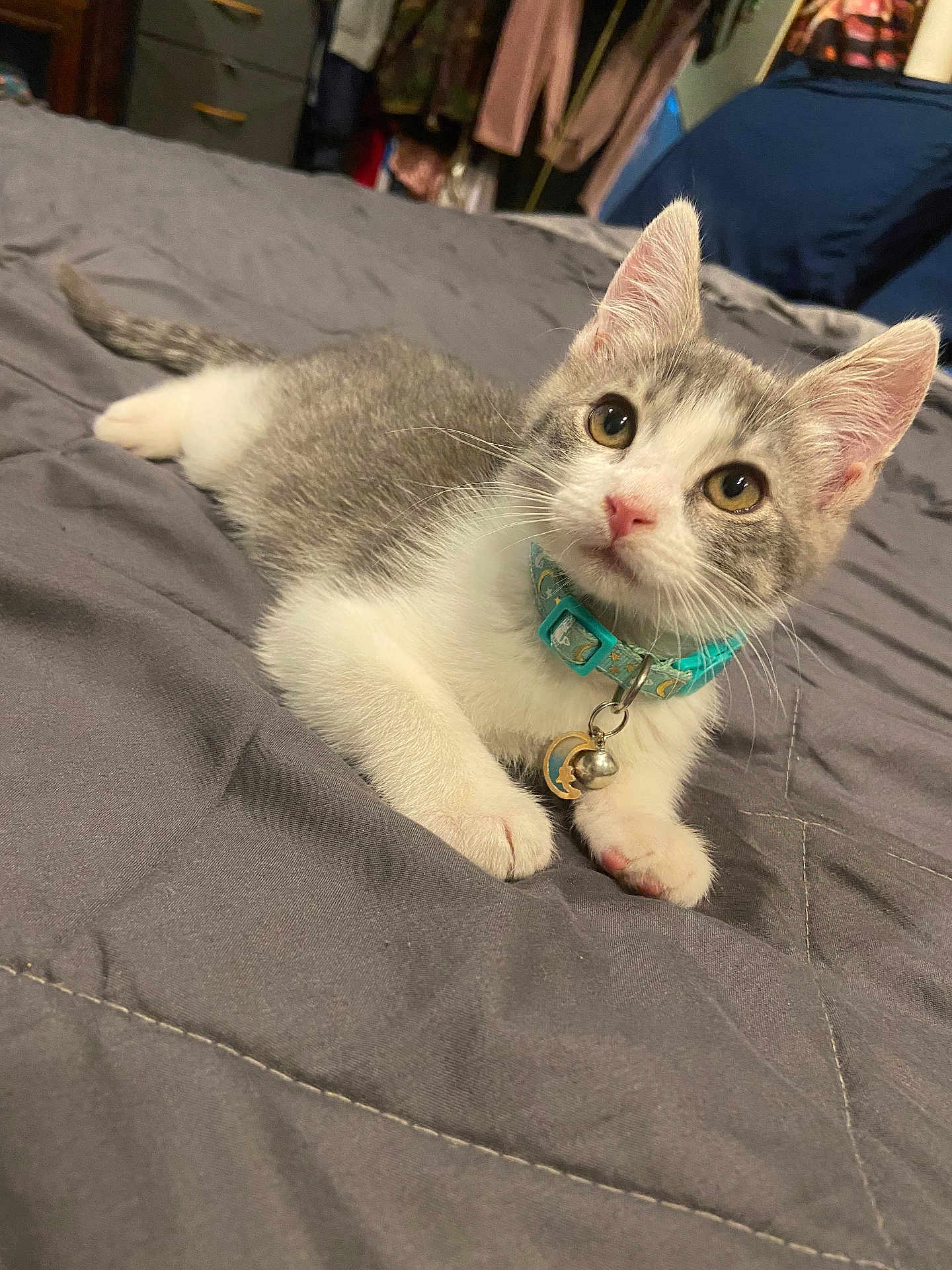 Chupa