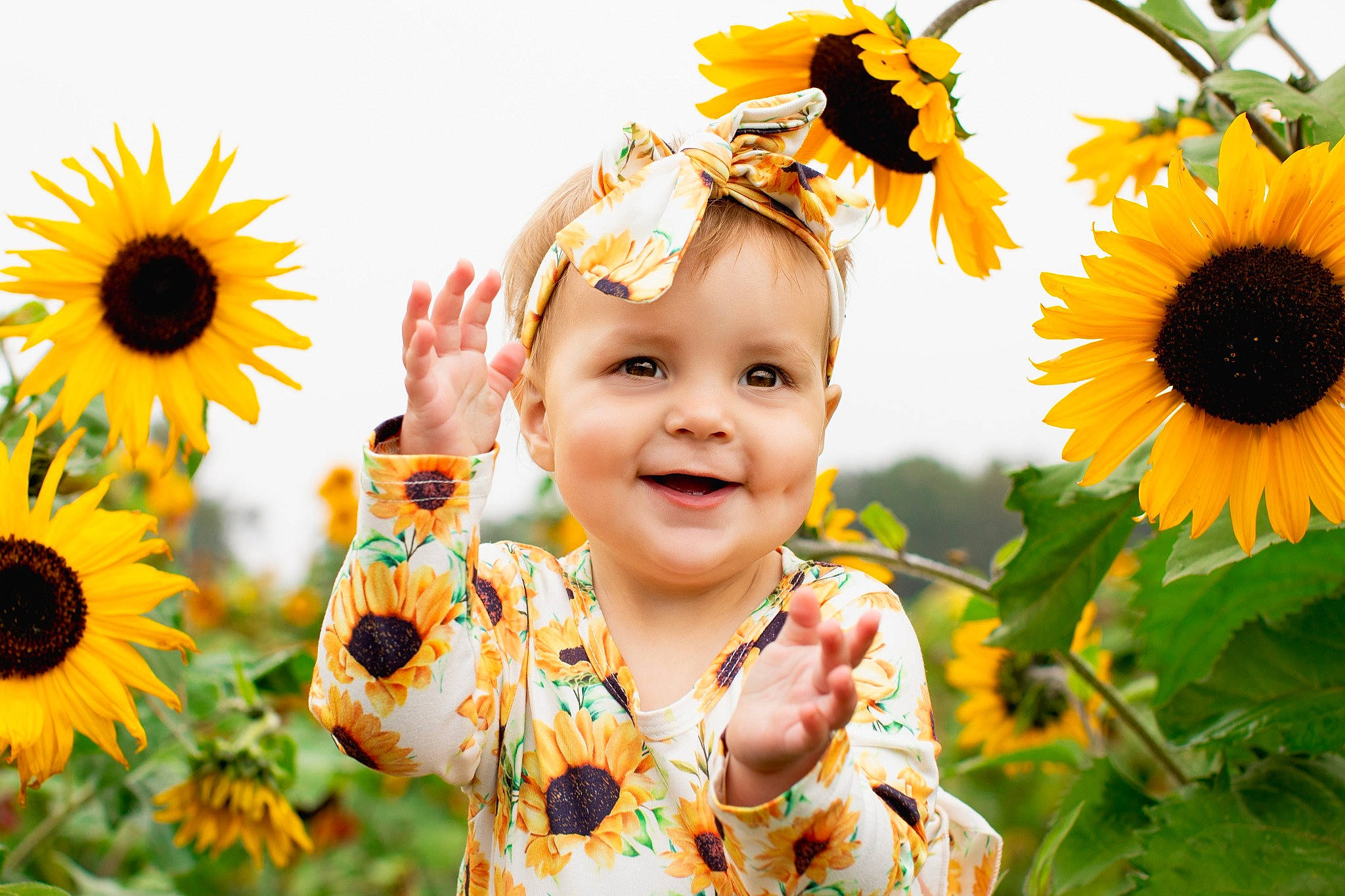 Raylee is registered to the contest to win money with this photo: annual_plant, baby_toddler_clothing, facial_expression, flower, flowering_plant, fun, grass, green, happy, joy, leaf, people_in_nature, person, petal, plant, smile, summer, sunflower, toddler, travel