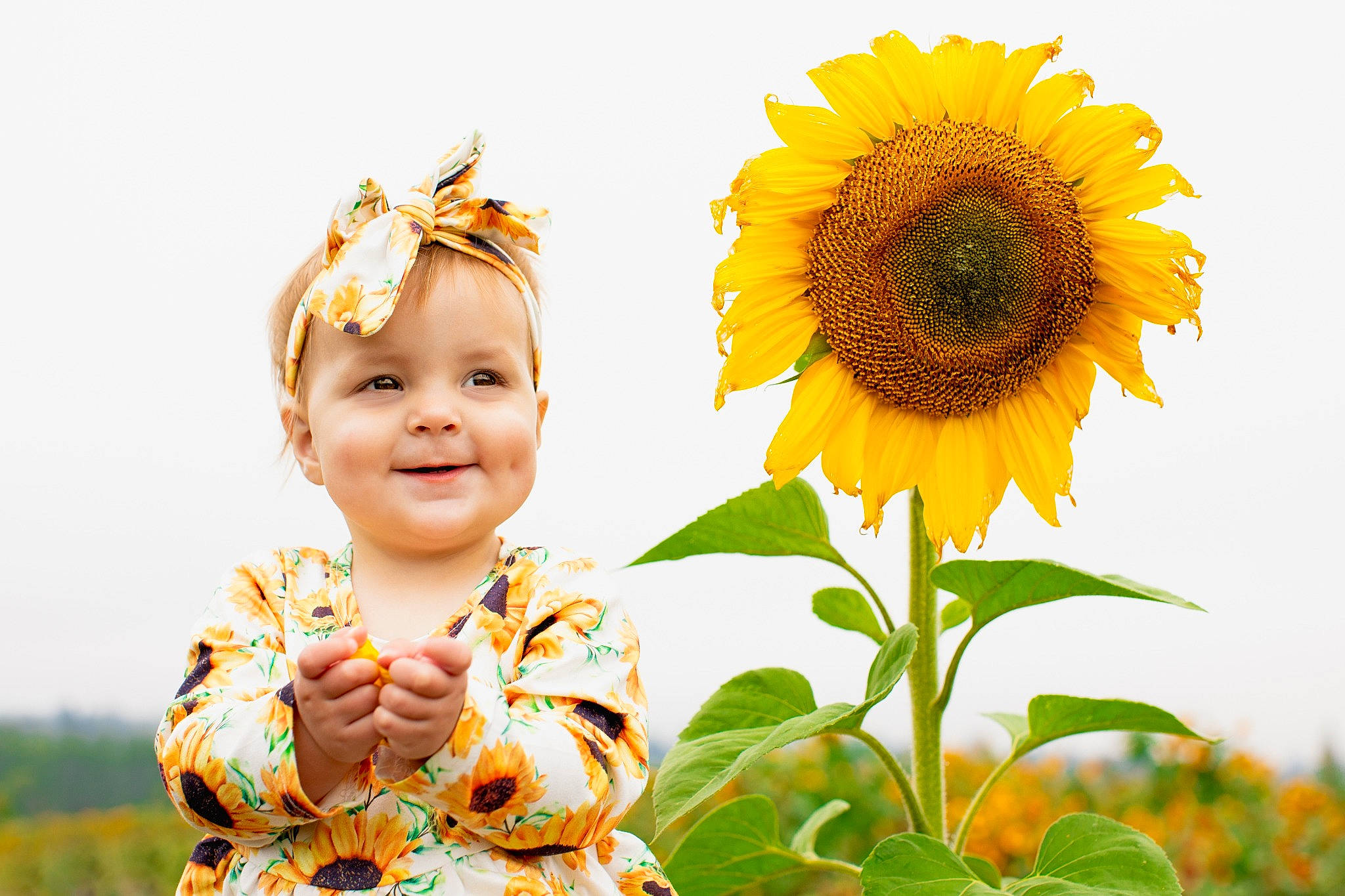 Raylee joined the competition — help win amazing prizes! annual_plant, baby, baby_toddler_clothing, field, flower, flowering_plant, grass, happy, joy, leaf, people_in_nature, person, petal, plant, pollen, sky, sleeve, smile, summer, sunflower