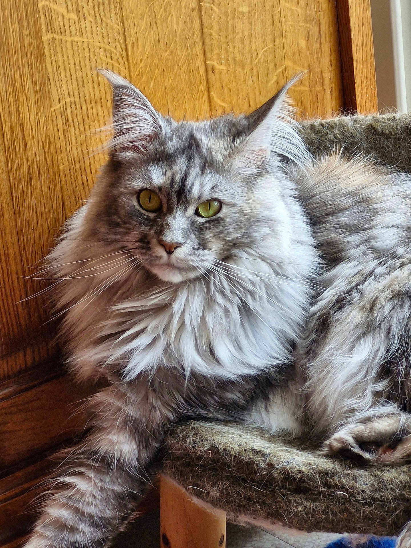Uxa