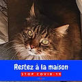 Loulou G.