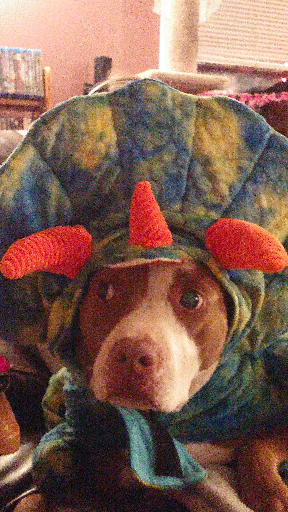 Evie is registered to the contest to win money with this photo: art, canidae, carnivore, comfort, companion_dog, dog, dog_breed, dog_supply, fawn, fur, liver, non_sporting_group, painting, pattern, picture_frame, snout, sporting_group, visual_arts, whiskers, working_animal