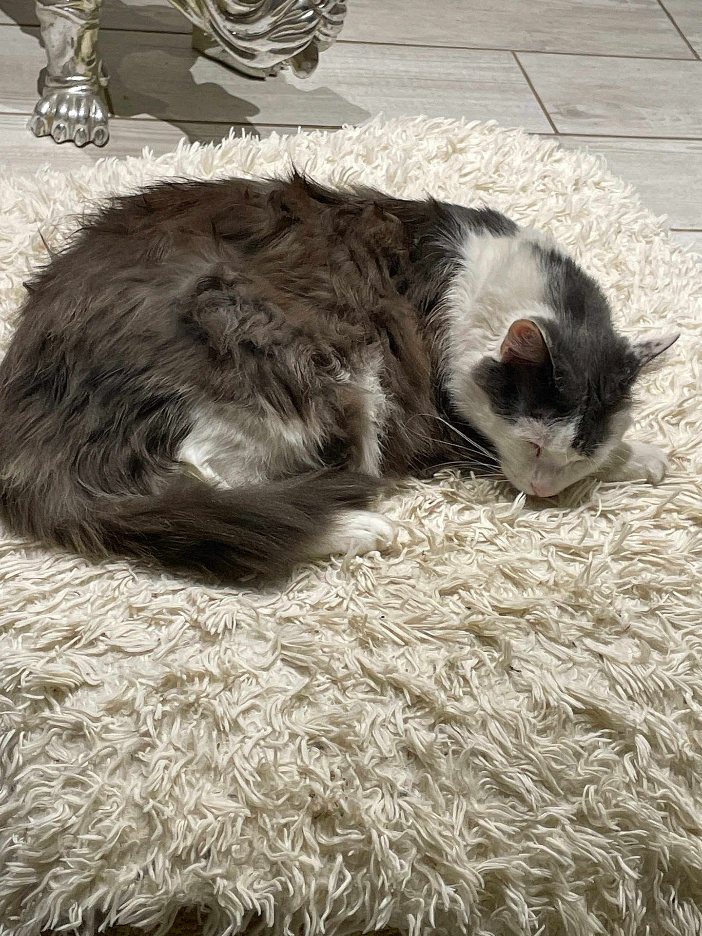 Taz
