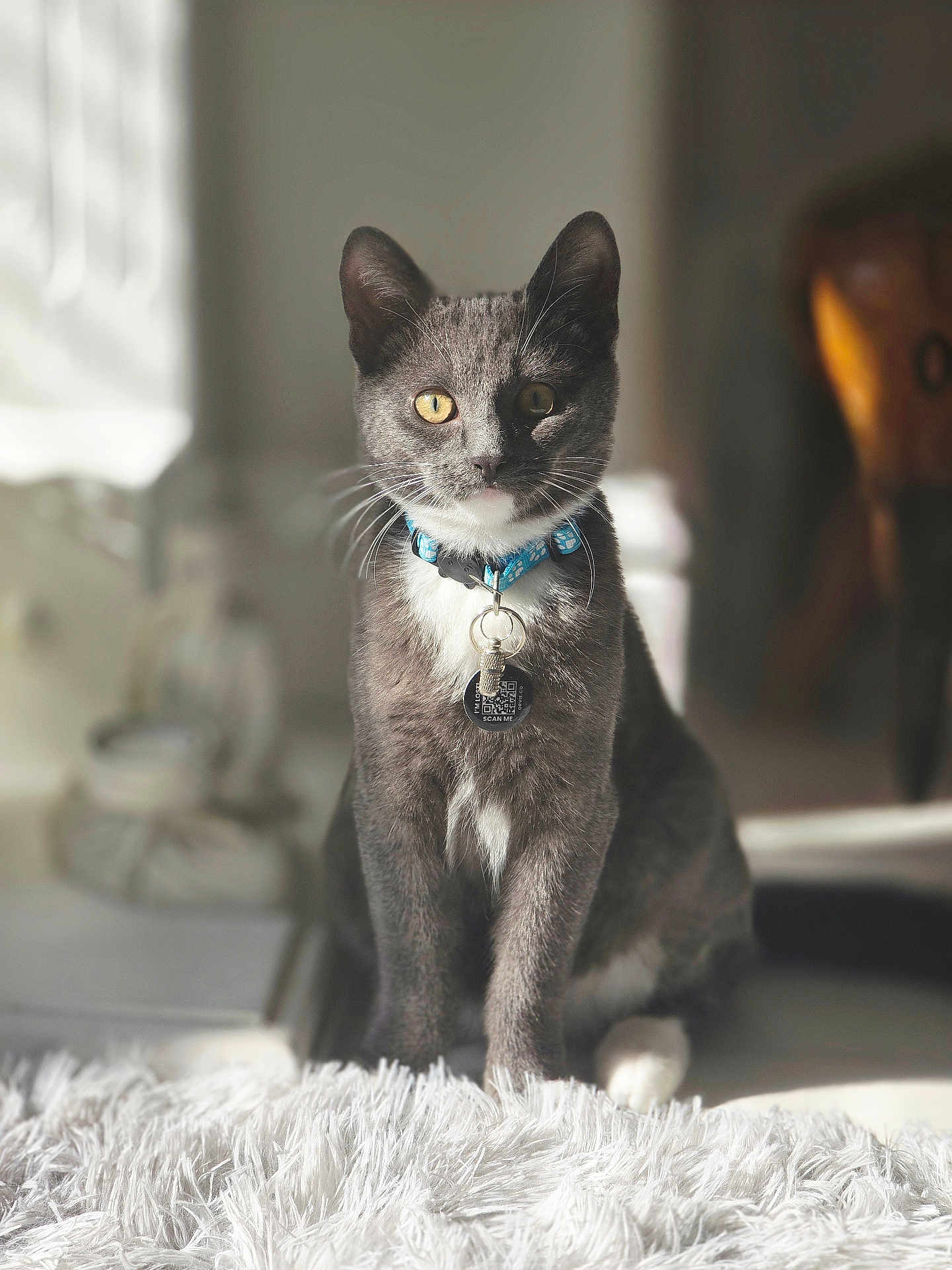 Milo