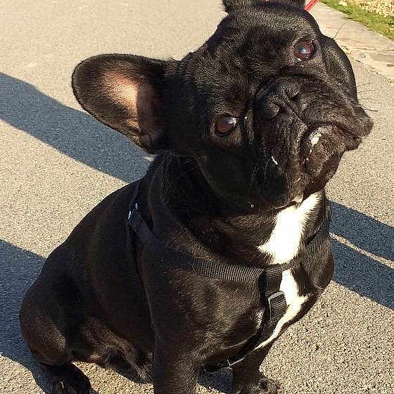Valentino joined the competition — help win amazing prizes!