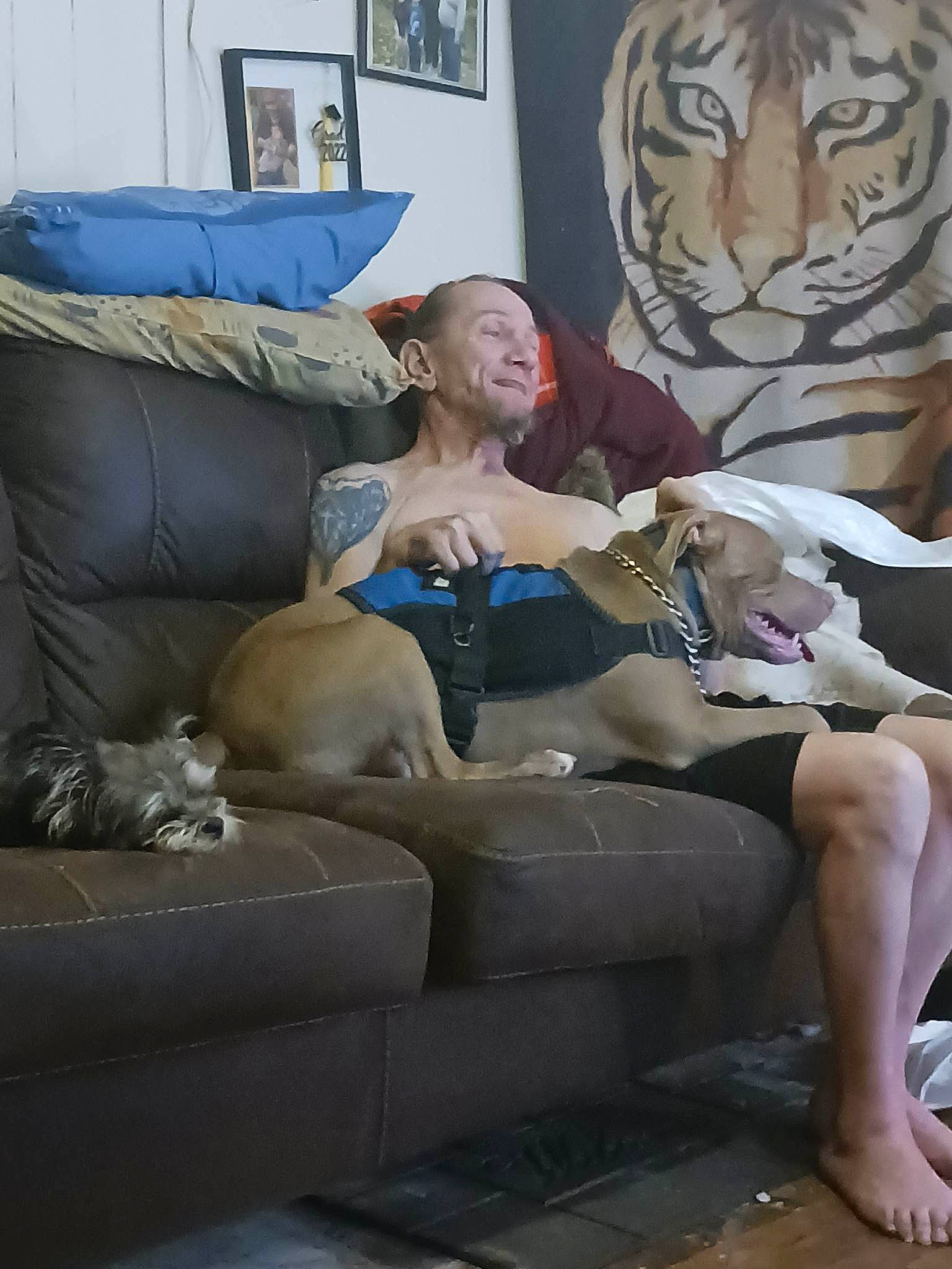 Edward joined the competition — help win amazing prizes! comfort, couch, event, fawn, flooring, foot, fun, human_leg, knee, lap, leg, leisure, living_room, mammal, picture_frame, room, shorts, sitting, thigh, vertebrate