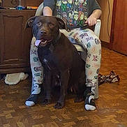 Jesse is registered to the contest to win money with this photo: