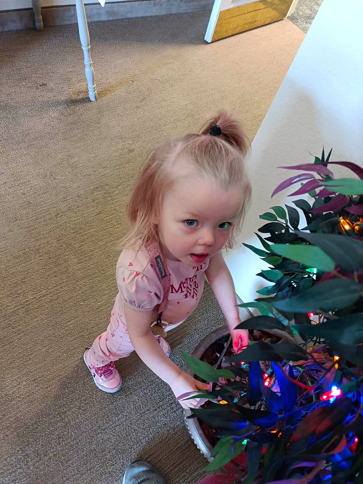Katie joined the competition — help win amazing prizes! child, christmas, christmas_decoration, christmas_ornament, christmas_tree, conifer, event, flooring, fun, happy, holiday, iris, magenta, ornament, pattern, person, plant, play, shoe, sitting