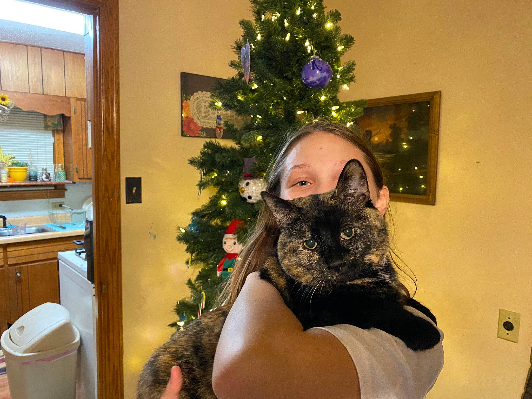 Bitsy is registered to the contest to win money with this photo: beard, black_cat, cabinetry, carnivore, cat, christmas, christmas_decoration, christmas_ornament, christmas_tree, cupboard, drawer, event, felidae, holiday, holiday_ornament, ornament, room, tail, tree, whiskers