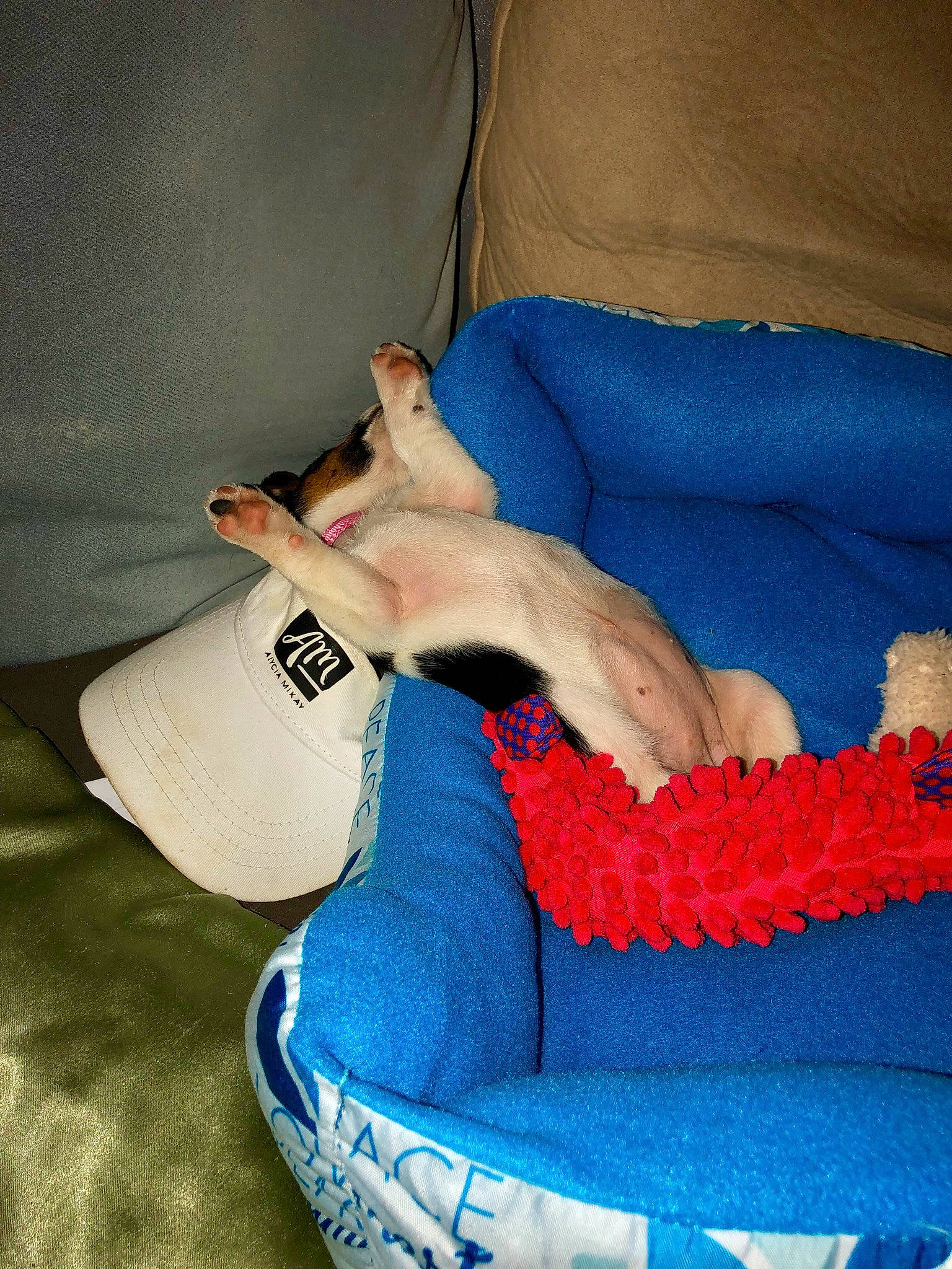 Domino is registered to the contest to win money with this photo: arm, blue, comfort, elbow, finger, furniture, hand, human_leg, jeans, leg, nail, sitting, textile, wool