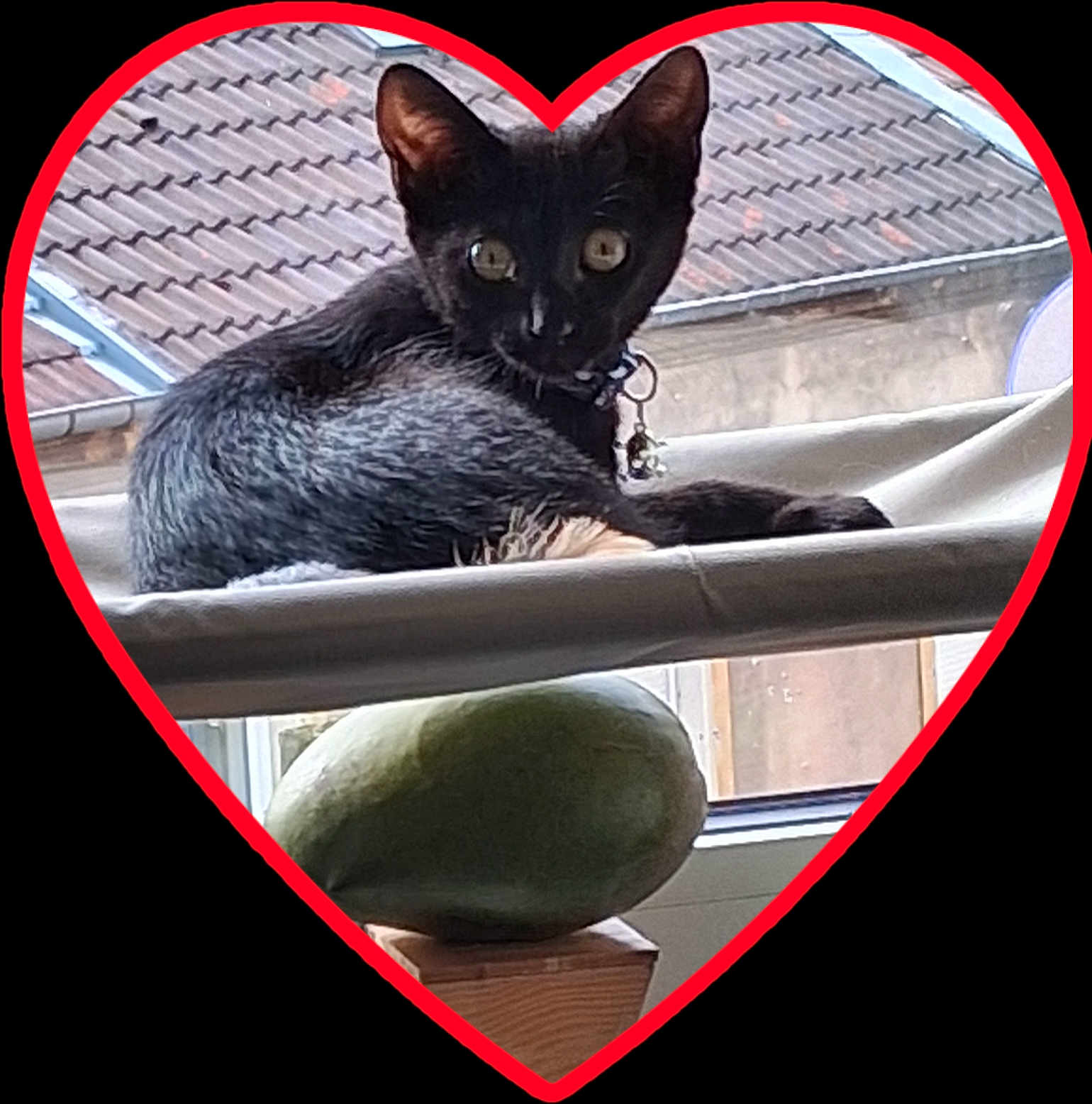 Salem