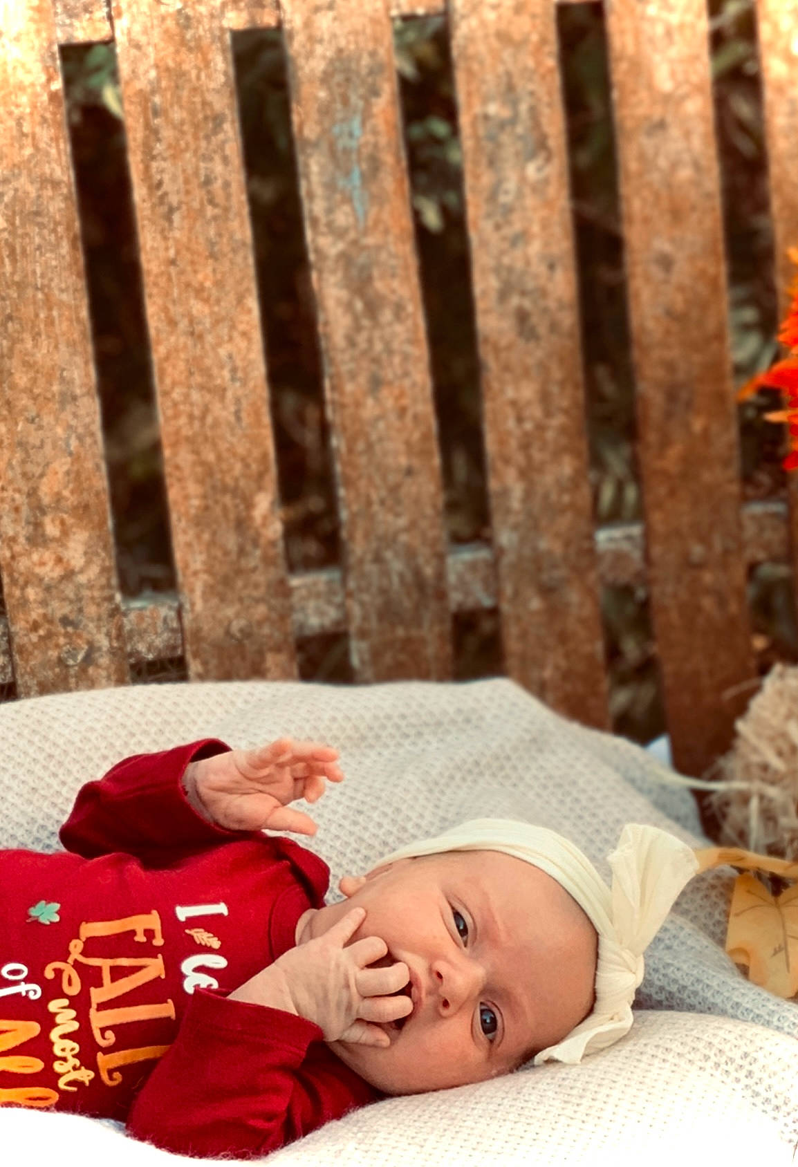Evelyn joined the competition — help win amazing prizes! baby, baby_products, baby_toddler_clothing, carmine, child, comfort, facial_expression, fence, flooring, happy, hat, human_body, leisure, pattern, people, person, photograph, sitting, snapshot, toddler