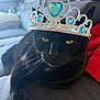 black_cat, cat, crown, jewelry, indoor, sofa, feline, pet, animal, couch, relaxing, closeup, whiskers, ears, face, eyes, domestic_animal, resting, luxury, accessory