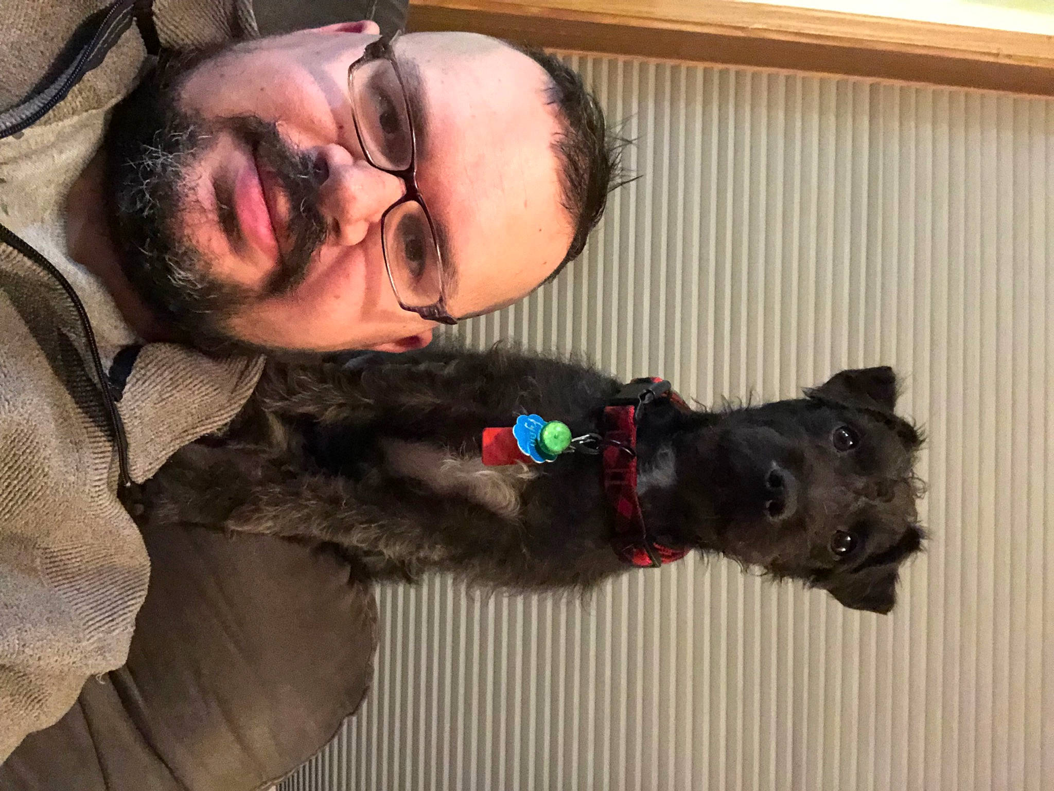 Fynn is registered to the contest to win money with this photo: beard, carnivore, collar, companion_dog, dog, dog_breed, dog_collar, ear, eyewear, facial_hair, fawn, fur, glasses, guard_dog, leash, moustache, smile, vision_care, working_animal, wrinkle
