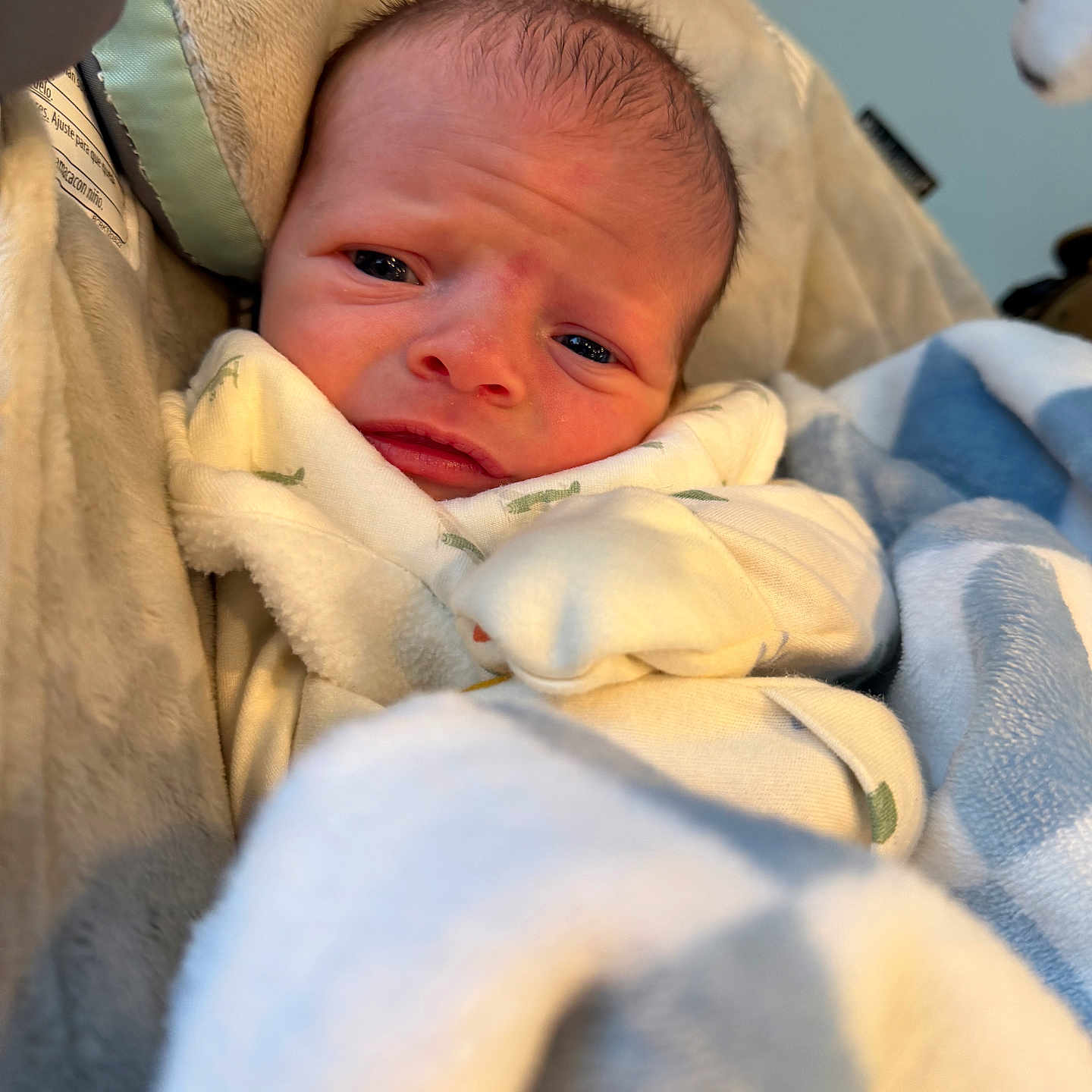 Jaxson