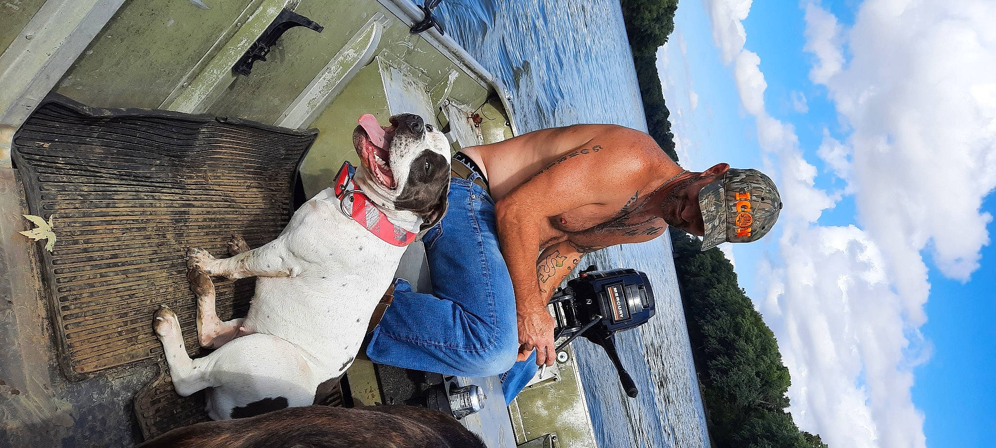 D.j. joined the competition — help win amazing prizes! barechested, carnivore, chest, cloud, companion_dog, dog, dog_breed, elbow, eyewear, fawn, leisure, recreation, shorts, sky, snout, thigh, tree, trunk, vest, water