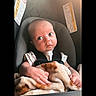 baby, car_seat, blanket, child, infant, seatbelt, wide_eyes, curious, sunlight, indoor, portrait, clothing, seat, hands, skin, head, face, soft_light, young_child, safety