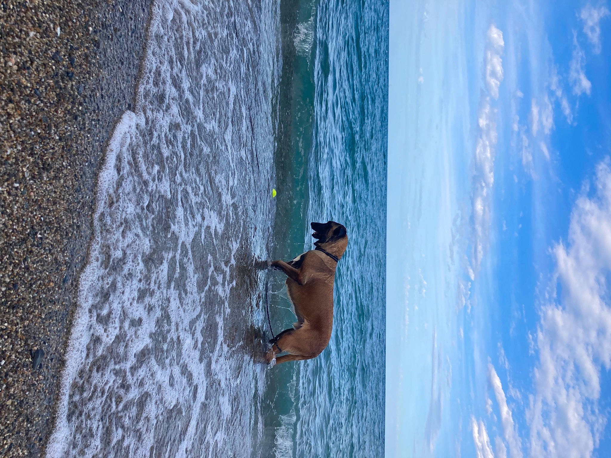 éros a rejoint le concours — aidez-le/la à gagner de superbes lots ! adventure, azure, beach, body_of_water, cloud, freezing, fun, lake, leisure, ocean, recreation, shorts, sky, sunglasses, tree, water, water_feature, wave, wind_wave, wood