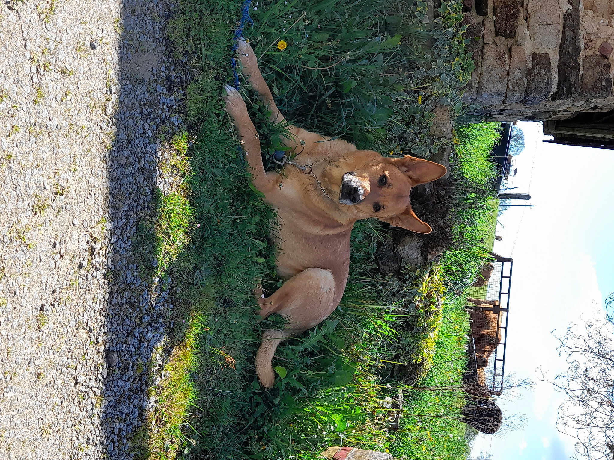 Zeus