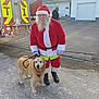 santa_claus, dog, golden_retriever, leash, fire_truck, sleigh, house, driveway, sidewalk, trees, outdoor, holiday, festive, man, beard, red_suit, boots, glasses, winter, smiling