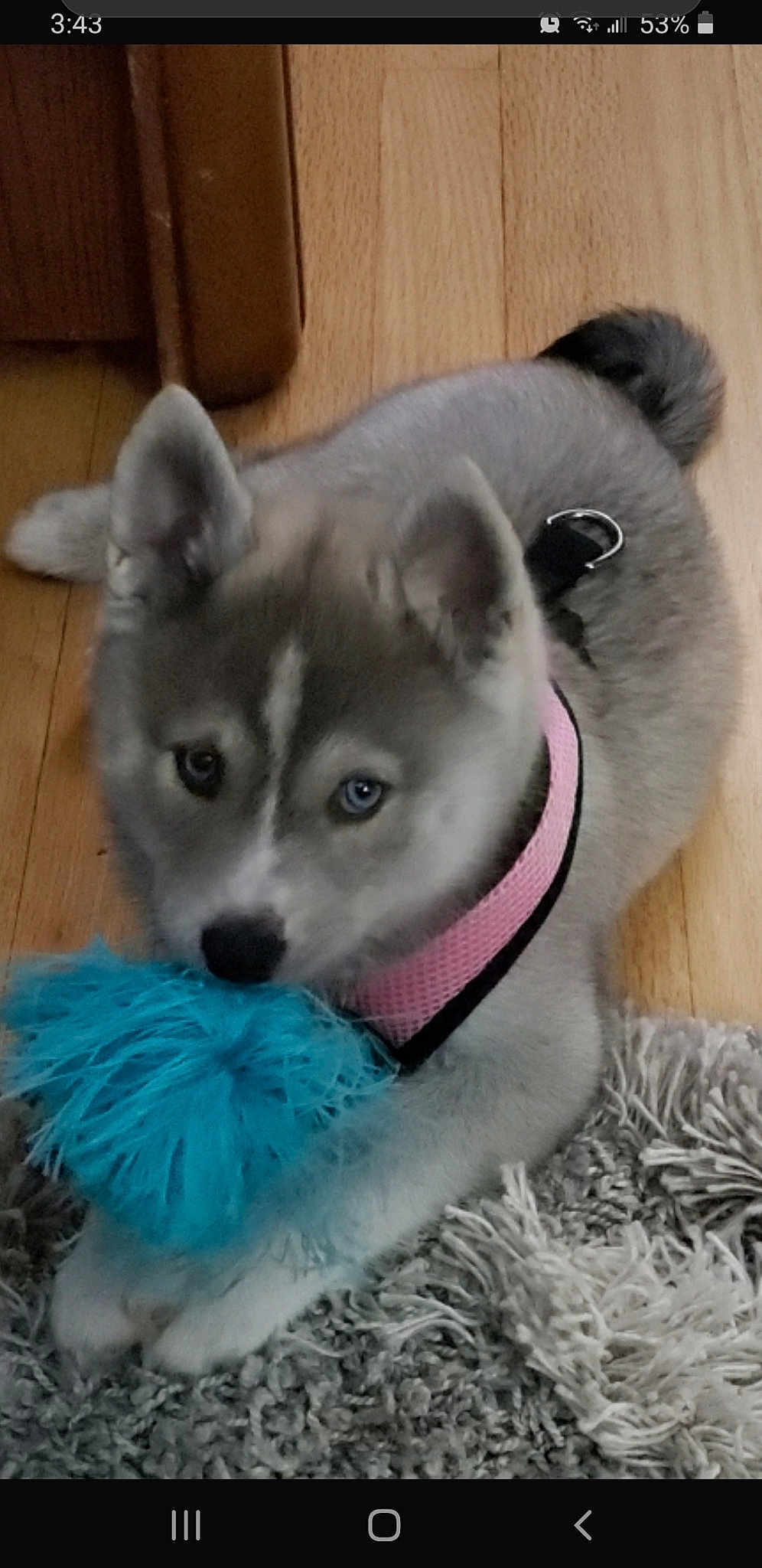 Luna